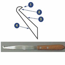 The Hook Knife Spatula
