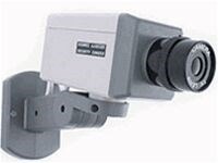 Stationary Simulated TV Camera