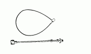 Loop Locks
